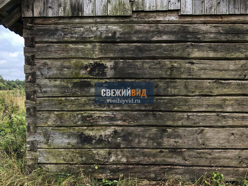 Сруб бани до пескоструйной очистки дерева