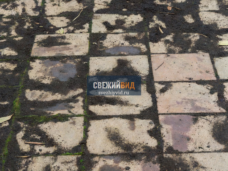 Тротуарная плитка до очистки от мха и загрязнений